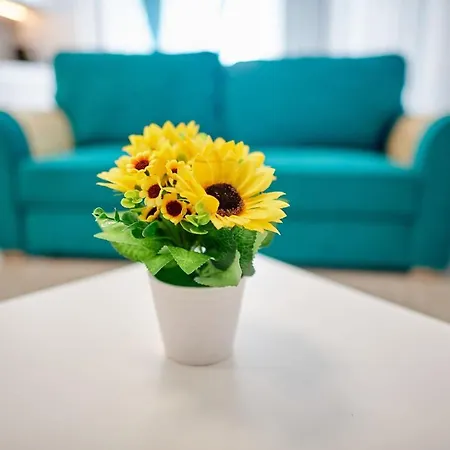 Sea N Pools アパート *